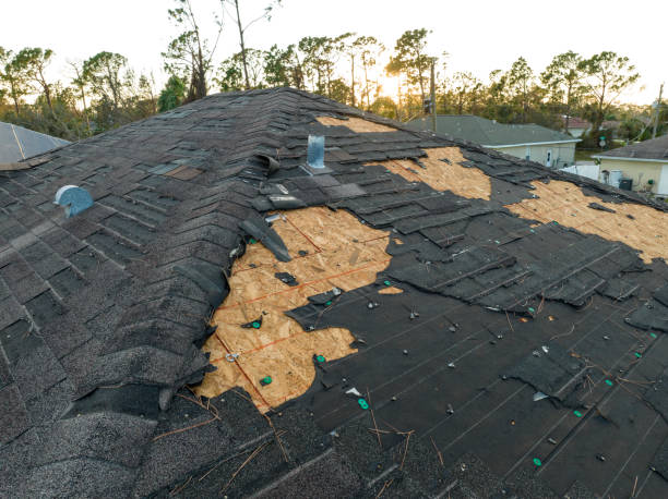 Roof Moss and Algae Removal in Hortonville, WI