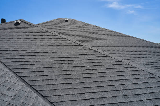 Best Roof Moss and Algae Removal  in Hortonville, WI